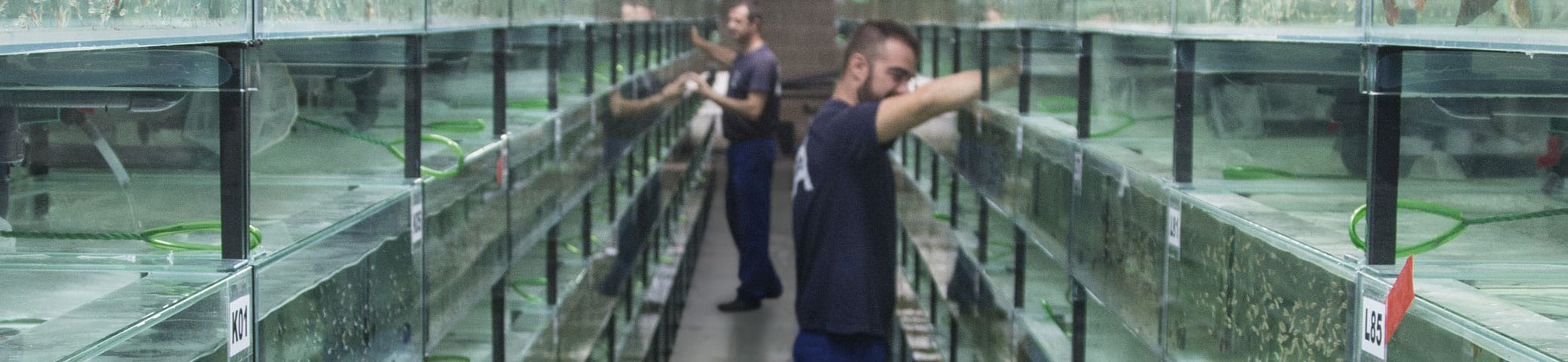 Control de calidad y mucho mimo